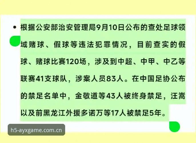 资深用户张薇的复盘手记：ayx爱游戏平台地址iOS版里看懂足协第三批禁足名单